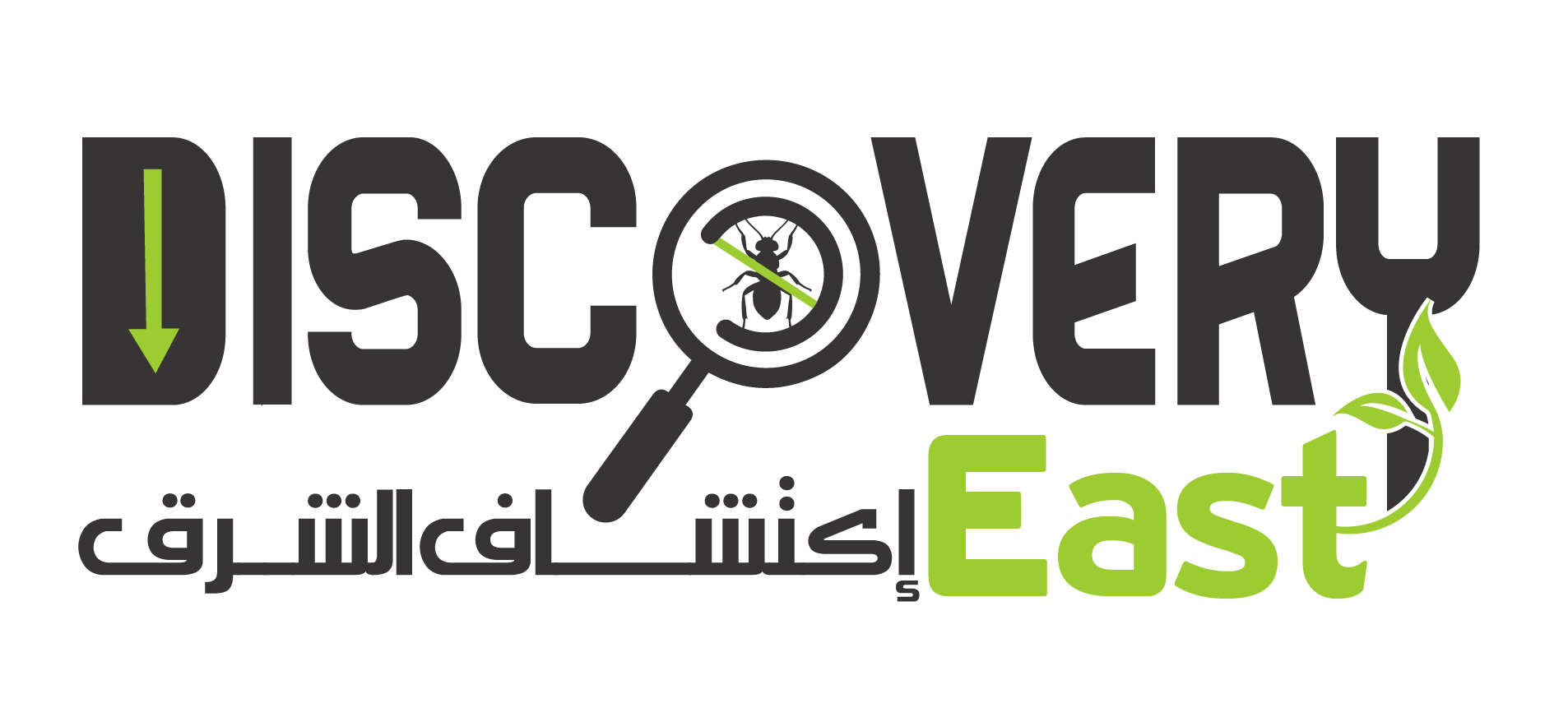 شركة اكتشاف الشرق